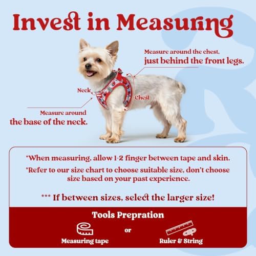rabbitgoo Step-in Small Dog Harness, Puppy Vest for Small Sized Pet - Image 2