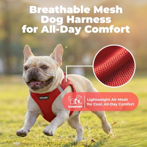 Voyager Step-in Air Dog Vest Harness - Red, Small - Image 5