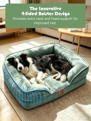 Spotted Play Orthopedic Dog Bed with Sides - Sofa Beds for Large Dogs, Supportive Foam Pet Couch Bed with Washable Removable Cover, Waterproof Lining and Non-Slip Bottom, Green - L - Image 5