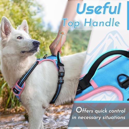 Eagloo Dog Harness for Small Dogs, No Pull Pet Vest with 2 Leash Clips - Image 5