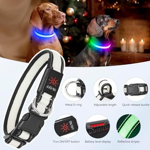 Flashseen LED Dog Collar, Light Up Dog Collar USB Rechargeable (White, Medium) - Image 5