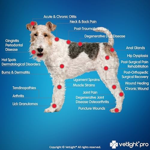SHINE Vetlight® Pro Infrared & Red Light Therapy for Dogs, Cats and Horses - Image 6