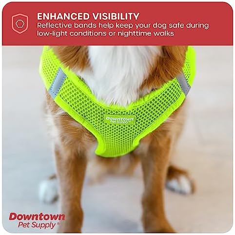 Downtown Pet Supply Step in Dog Harness for Small Dogs No Pull, Large, Atomic Yellow - Adjustable Harness with Padded Mesh Fabric and Reflective Trim - Buckle Strap Harness for Dogs - Image 6