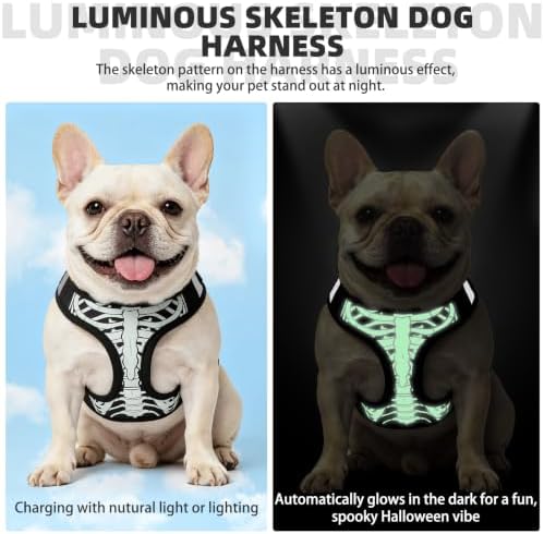 KOOLTAIL Halloween Dog Harness and Leash Set for Small Medium Dogs,Step in No Pull Soft Mesh Comfort Padded Pet Vest Harness,Glow-in-Dark Skeleton Design Easy Walking Puppy&Cat Harness for Holiday M - Image 5