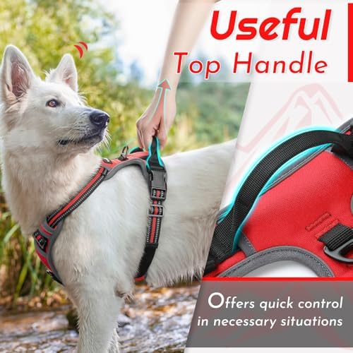 Eagloo Dog Harness for Large Dogs, No Pull Pet Vest with 2 Leash Clips - Image 4