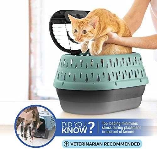 Petmate Top Load Plastic Cat Kennel, One-Door, 19in, Purple, 19.0" L x 12.5" W x 10.8" H (Pack of 4) - Image 4