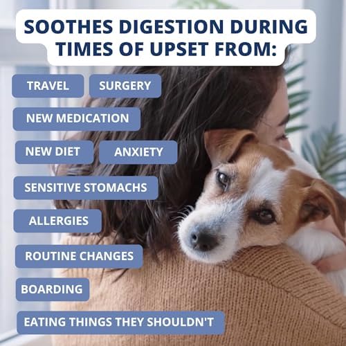 Under the Weather Bland Diet for Dogs | Easy to Digest for Sick Dogs |Always Be Ready| Contains Electrolytes - All Natural Freeze Dried 100% Human Grade Meats| 2 Pack- Rice Turkey & Sweet Potato - 6oz - Image 5