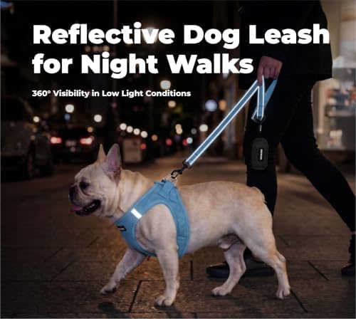 Best Pet Supplies Voyager Nylon Dog Leash - Sky Blue, Medium - Image 4