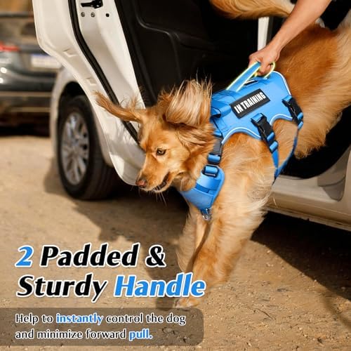 WINSEE Escape Proof Dog Harness with Double Handle+4 Removable Patches - Image 3