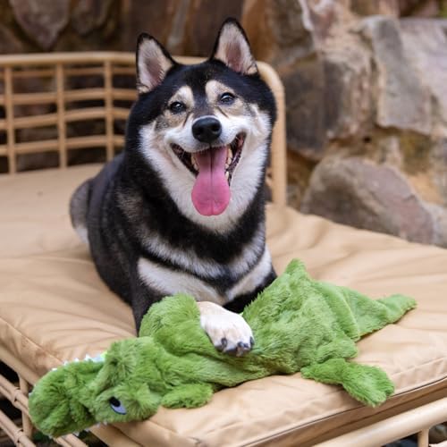 Best Pet Supplies 2-in-1 Stuffless Squeaky Dog Toy - Alligator, Small - Image 6