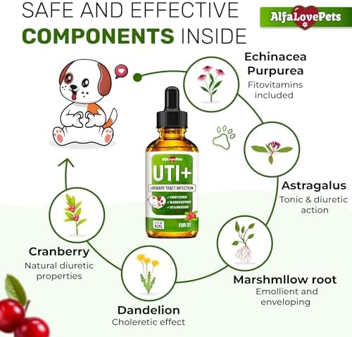 Cat UTI Treatment to Care for Kidneys and Bladder – Dog UTI Treatment for Pets of All Ages and Breeds – Urinary Tract Cat Safe Formula – Cranberry Supplement for Dogs & Other Pets – 2 Oz - Image 3