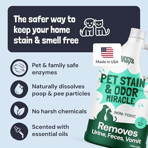 Sunny & Honey Carpet Cleaner Spray, Enzyme Pet Stain Remover, 1 Gal, Mint - Image 5