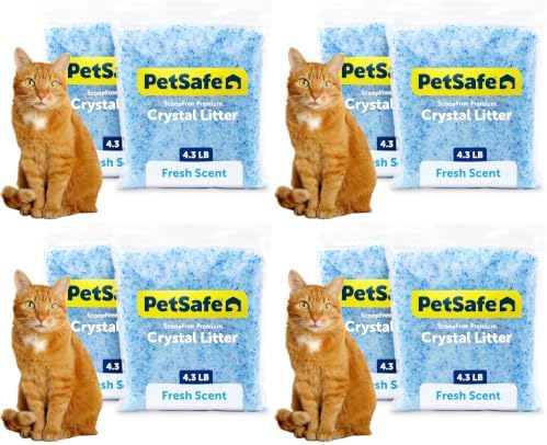 PetSafe ScoopFree 4.3 lb Bags Premium Crystal Cat Litter - Outperforms Clay Litter - Refill Packs - Reusable Tray Compatible - Fresh Scent (Pack of 8) by PetSafe