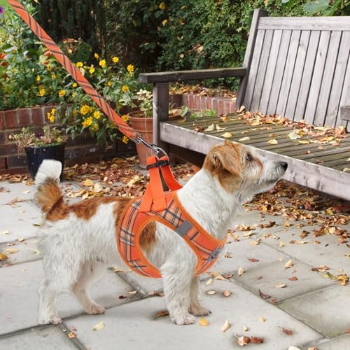 KOOLTAIL Thanksgiving Dog Harness for Small Medium Dogs,Dog Harness and Leash Set, Step in No Pull Soft Mesh Padded Adjustable and Reflective Pet Vest Puppy, Extra Harness for XS S Dogs Orange Plaid S - Image 6