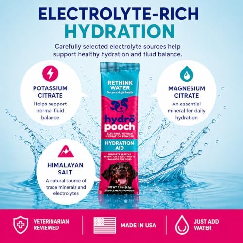 HydroPooch Dog Electrolyte Supplement, Hydration Powder & Water Flavor Enhancer for Dehydration Recovery, Heat, Exercise & Travel, Rehydration Support for Dogs, 12 Single-Serve Packets (8g Each) - Image 4
