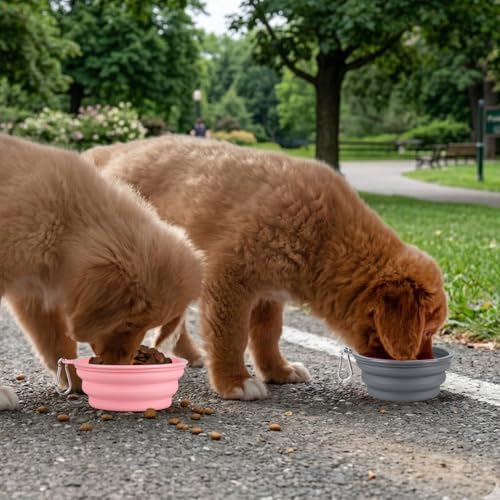 Kytely Collapsible Dog Bowls for Travel, 2Pack Dog Portable Water Bowl, Foldable Pet Food Bowl with Clasp, Pet Cat Feeding Cup Dish for Traveling, Walking, Hiking - Image 7