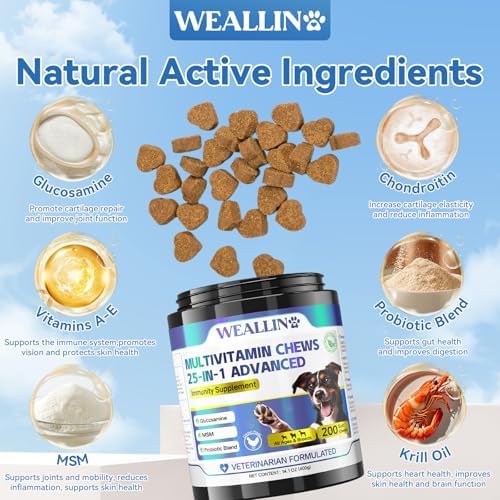 Dog Vitamins and Supplements with Glucosamine Probiotics 200ct Chicken - Image 3