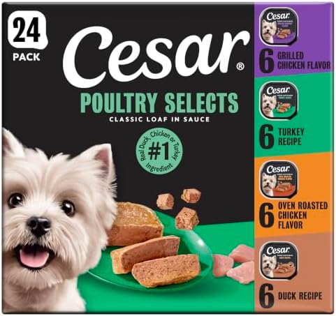 Cesar Classic Loaf in Sauce Wet Dog Food, Poultry Selects, 3.5 oz, 24 Count by Cesar