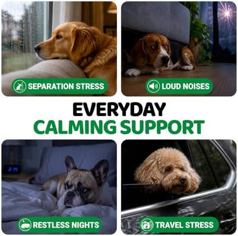 Advanced Calming Chews for Dogs - Hemp Dog Calming Chews Anxiety Relief - Image 5