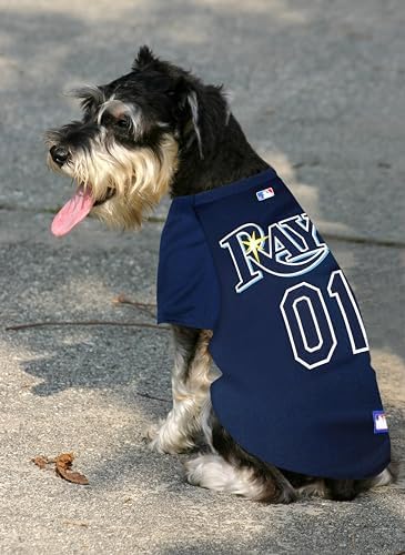 Official MLB Tampa Bay Rays Pet Jersey for Dogs & Cats, Size Small - Stylish Baseball Jersey for Your Furry Fan- Show Off Team Spirit with The Perfect Fan Apparel Gear for Pet, Dog & Cat - Image 4