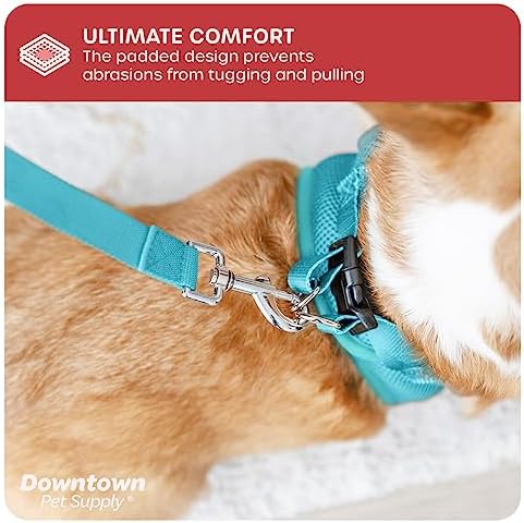 Downtown Pet Supply Step-in Dog Harness – No Pull, Adjustable Padded Mesh with Reflective Trim, Secure Buckle Strap – Comfortable & Breathable Small Dog Harness, XX-Small, Light Blue - Image 6