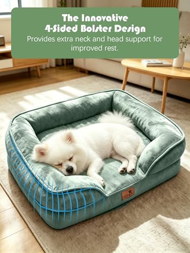 Spotted Play Orthopedic Dog Bed with Sides - Sofa Beds for Small Dogs, Supportive Foam Pet Couch Bed with Washable Removable Cover, Waterproof Lining and Non-Slip Bottom, Green - S - Image 5