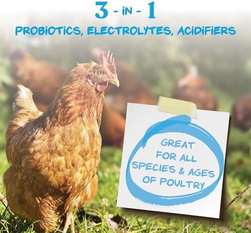 Manna Pro Hydro-Hen Poultry Electrolyte, Digestive & Probiotic, 8 oz - Image 2