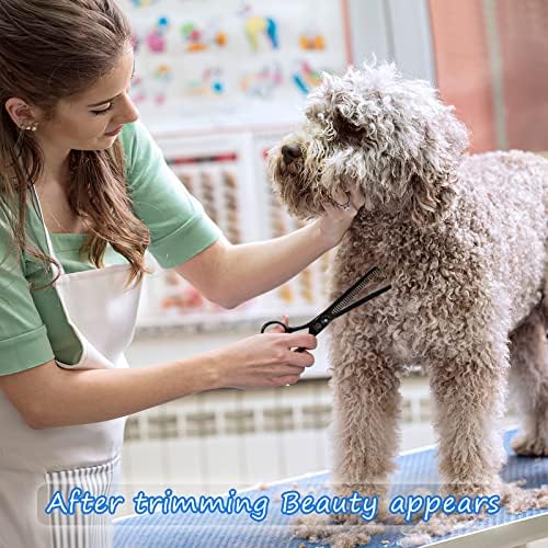 Dog Grooming Scissors Kit with Safety Round Tips, GLADOG Professional 6 in 1 Grooming Scissors for Dogs, Sharp and Heavy-duty Dog Grooming Shears for Dogs Cats - Image 6