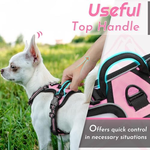 Eagloo Dog Harness for Small Dogs, No Pull Pet Vest with 2 Leash Clips - Image 5