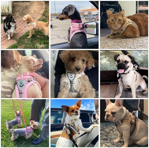 KOOLTAIL Dog Harness and Leash Set for Medium Large Dogs, Step in No Pull Soft Mesh Dog Harness Comfort Padded Pet Vest, Adjustable Reflective Easy Walking Puppy Cats Harnesses Training - Image 2