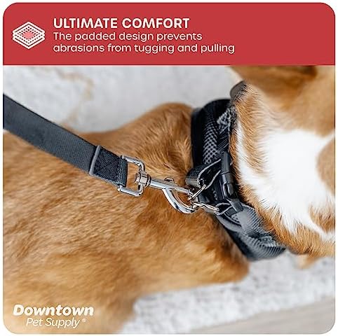 Downtown Pet Supply Step-in Dog Harness – No Pull, Adjustable Padded Mesh with Reflective Trim, Secure Buckle Strap – Comfortable & Breathable Small Dog Harness, Medium, Charcoal - Image 6