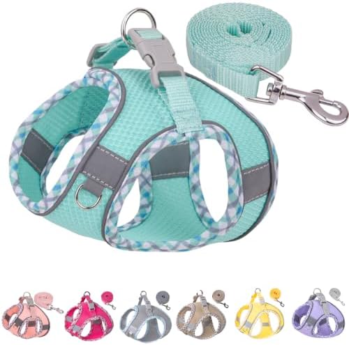 Petank Step in Dog Harness No Pull and Leash for Small Medium Dogs Cats. by PetankCareforEveryPaw