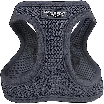 Downtown Pet Supply Step-in Dog Harness – No Pull, Adjustable Padded Mesh with Reflective Trim, Secure Buckle Strap – Comfortable & Breathable Small Dog Harness, Small, Charcoal by DowntownPetSupply