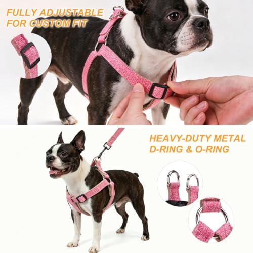 BEAUTYZOO Adjustable No Pull Dog Harness and Leash Set - Image 5