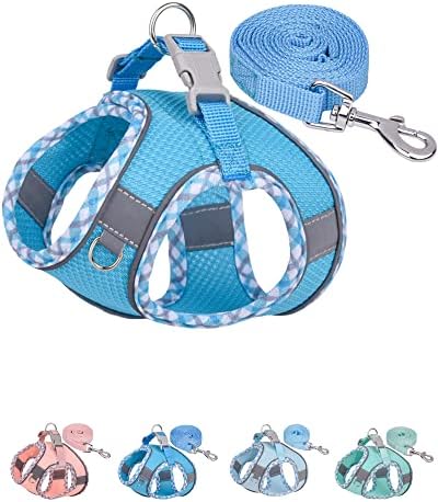 Petank Dog Harness for Small Medium Dogs No Pull, Puppy Harness and Leash Set, Step in Dog Harness for Walking, Running, Training, Small Dog Vest, Medium Dog Vest (Bule, M) by PetankCareforEveryPaw