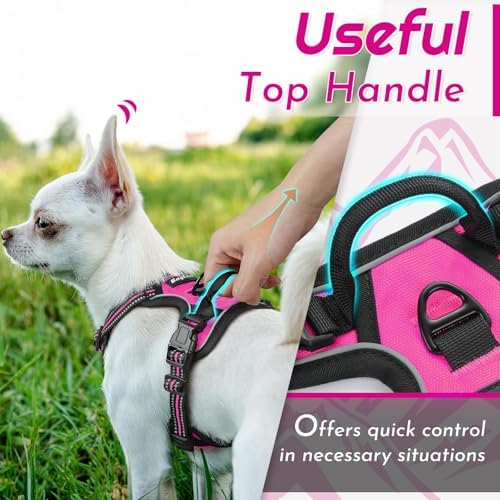 Eagloo Dog Harness for Small Dogs, No Pull Pet Vest with 2 Leash Clips - Image 5
