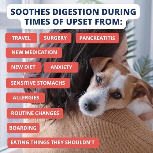 Under the Weather Bland Diet for Dogs | Easy to Digest Stomach Support for Sick Dogs | Contains Electrolytes, All Natural | 6 Pack - Turkey, Oatmeal, Sweet Potato & Slippery Elm - 6oz - Image 5