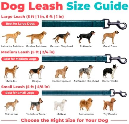 Best Pet Supplies Voyager Nylon Dog Leash - Blue, Medium - Image 6