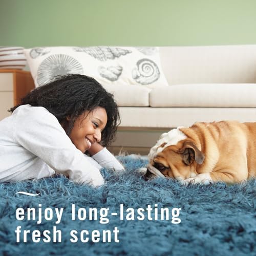 Febreze Fabric Spray Air Freshener, Odor-Fighting Fabric Refresher, Sneaker Balls Alternative, Couch Cleaner, Linen Spray, Multi-Use, Pet Odor Fighter Scent, 23.6 fl oz - Image 5