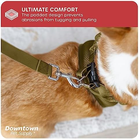 Downtown Pet Supply Step in Dog Harness for Small Dogs No Pull, Medium, Hunter Green - Adjustable Harness with Padded Mesh Fabric and Reflective Trim - Buckle Strap Harness for Dogs - Image 6