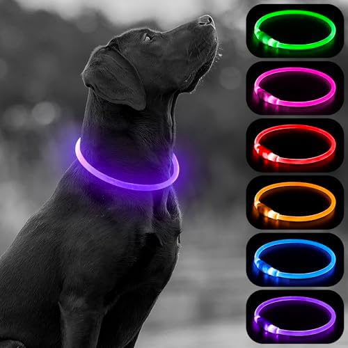 HIGO Light Up Dog Collar, LED Dog Collar for Night Safety with 3 Modes, Type-C Rechargeable & Adjustable TPU Material for Small Medium Large Dogs (Purple) by Higo