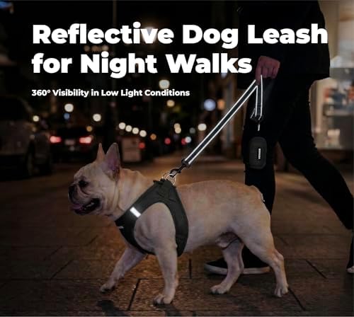 Best Pet Supplies Voyager Nylon Dog Leash - 6ft Black, Large - Image 4
