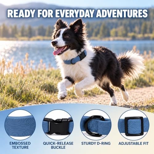 Dog Harness and Leash Set, No Pull Soft Lightweight PVC Puppy Harness, Adjustable Breathable Easy Walk Pet Harness for Small Medium Large Dogs - Image 3