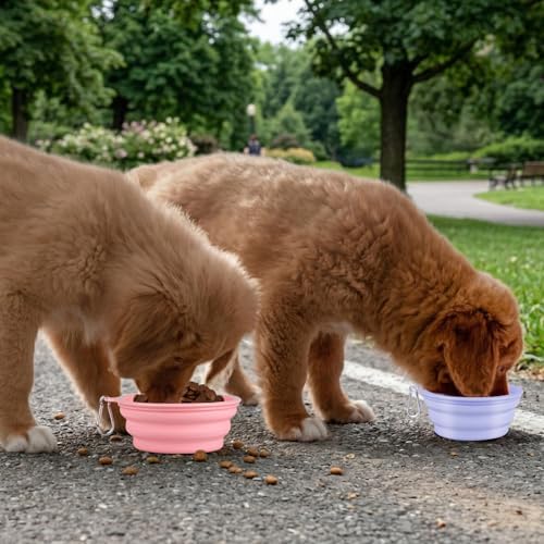 Kytely Collapsible Dog Bowls for Travel, 2Pack Dog Portable Water Bowl, Foldable Pet Food Bowl with Clasp, Pet Cat Feeding Cup Dish for Traveling, Walking, Hiking - Image 6