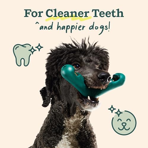 WOOF Bite n' Brush Dog Dental Sticks, Refills for Chew Toy, Beef, 2 Pack - Image 7