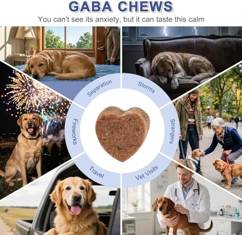 PETNANNY Calming Chews for Dogs, Calming Bites for Dog Anxiety Relief - Image 5