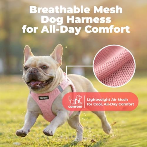 Voyager Step-in Air Dog Vest Harness - Pink, Small - Image 5
