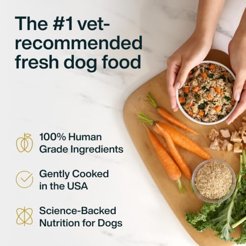 JustFoodForDogs Pantry Fresh Wet Dog Food, Complete Meal or Topper, Chicken & White Rice Human Grade Recipe - 12.5 oz (Pack of 6) - Image 4