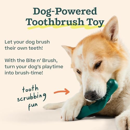 WOOF Bite n' Brush Dog Dental Sticks, Refills for Chew Toy, Beef, 2 Pack - Image 5