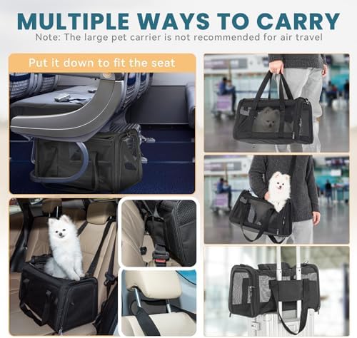 PETSFIT 19 x 12 x 12 Large Cat Carrier - Image 3